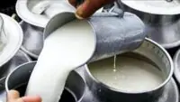 Milk Price