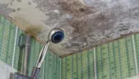 Mold Cleaning