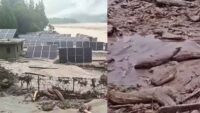North Bengal Flood Alert