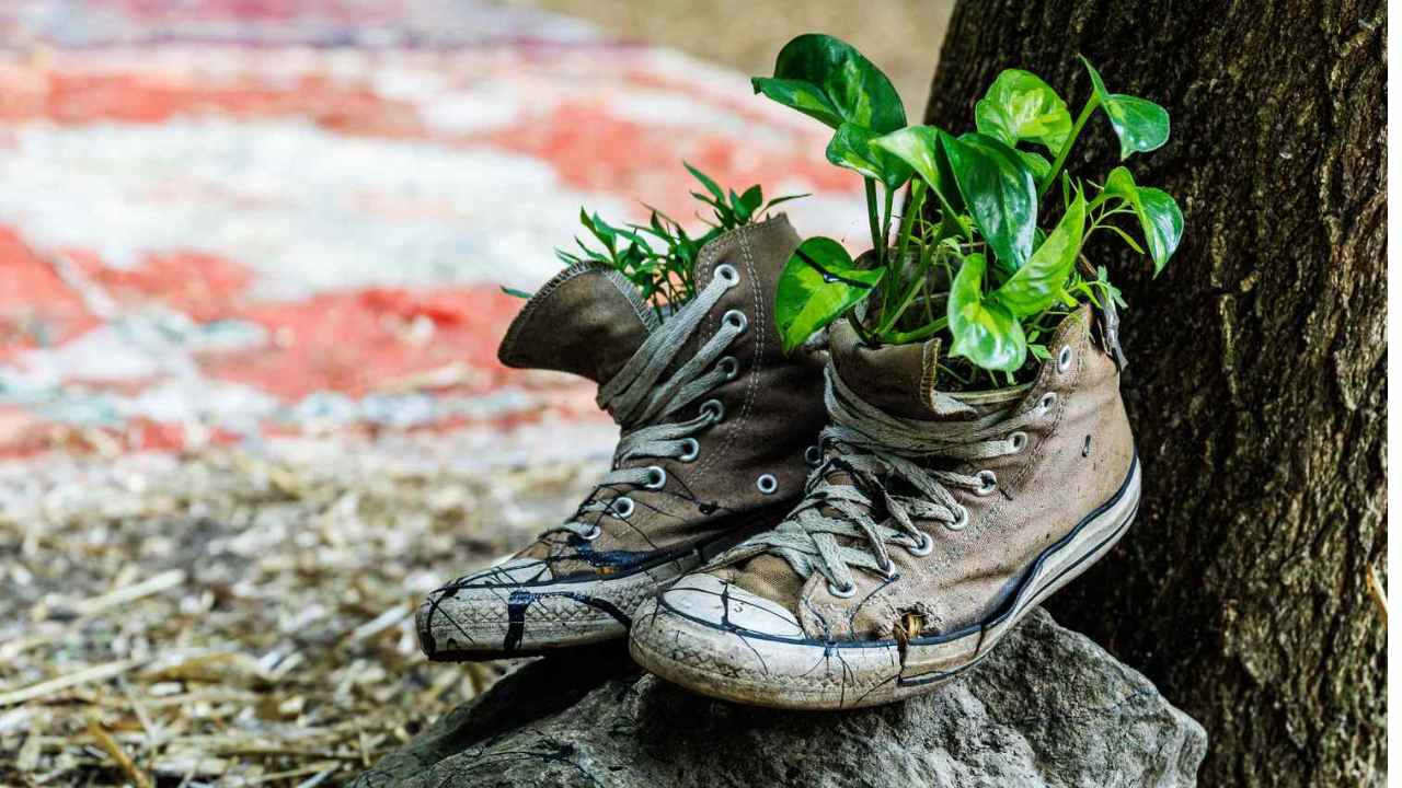 Old Shoes