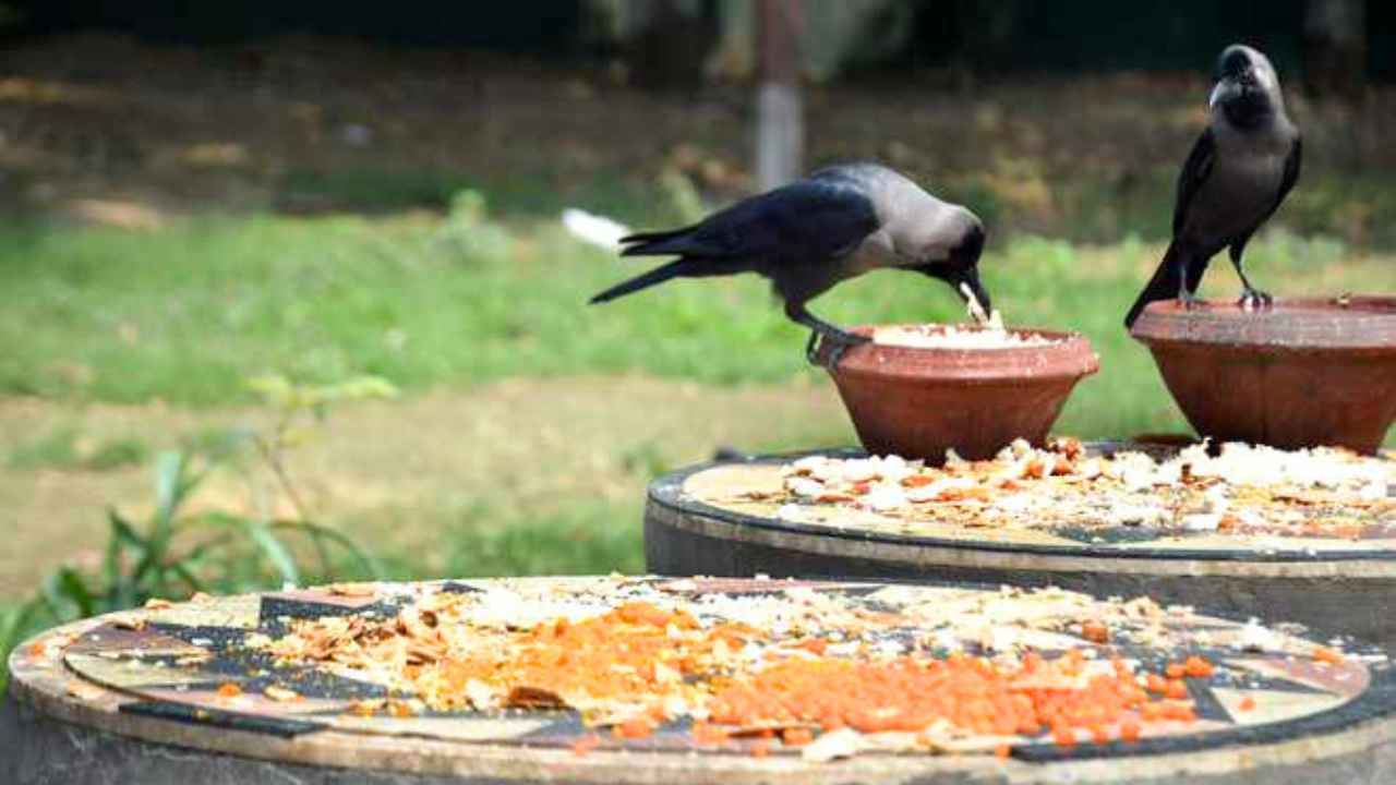 Pitru Paksha 2026