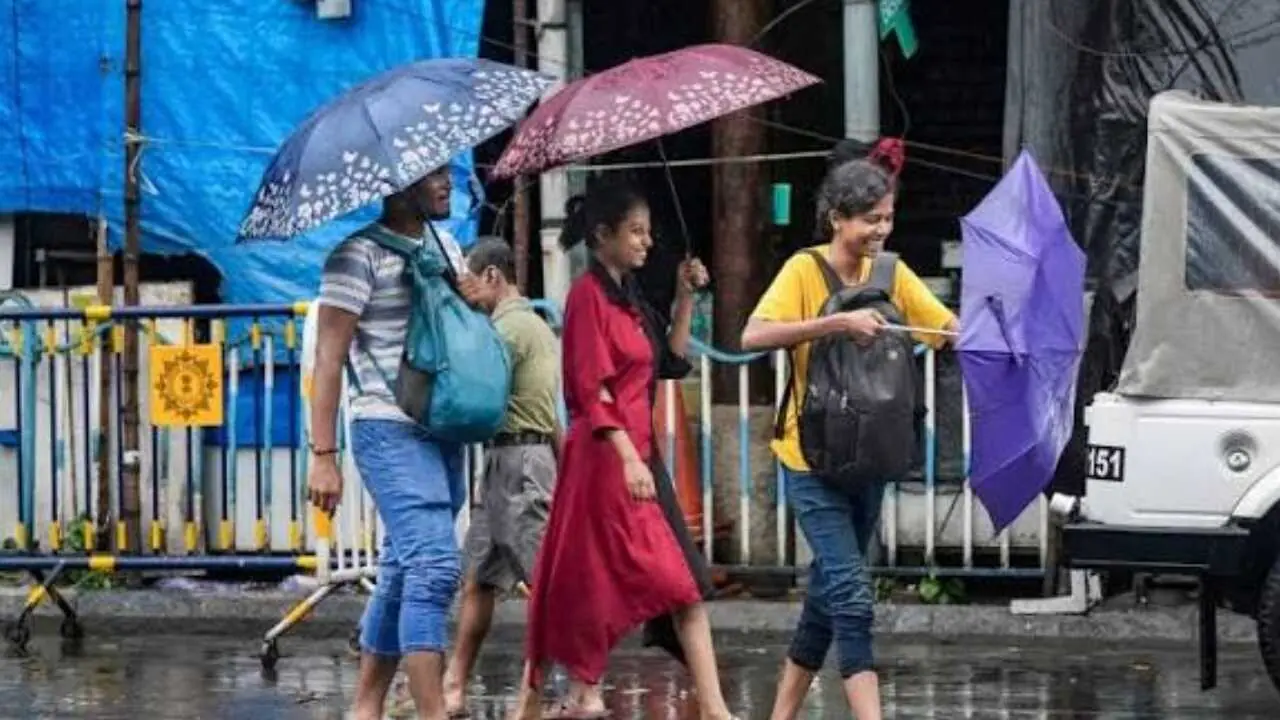 Rainfall Alert