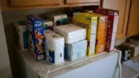 Refrigerator Storage tips