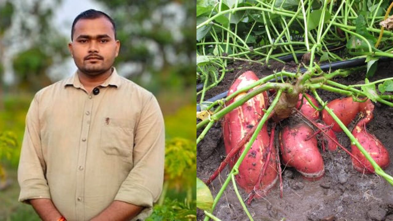 Success Story Gonda Farmer Jitendra Maurya