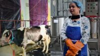 Success Story of Entrepreneur Seema Kumari