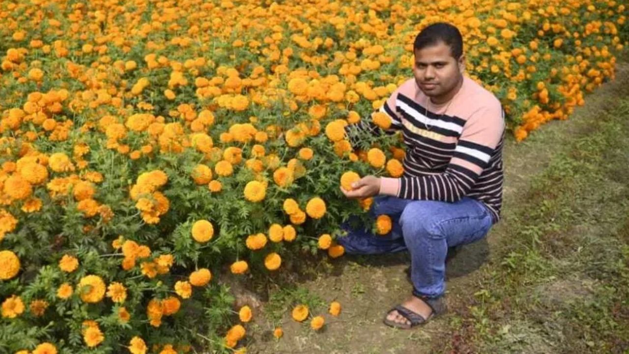 Success Story of Marigold Farmer Arup Kumar Ghosh