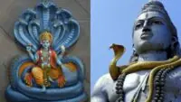 Vasuki and Sheshnag