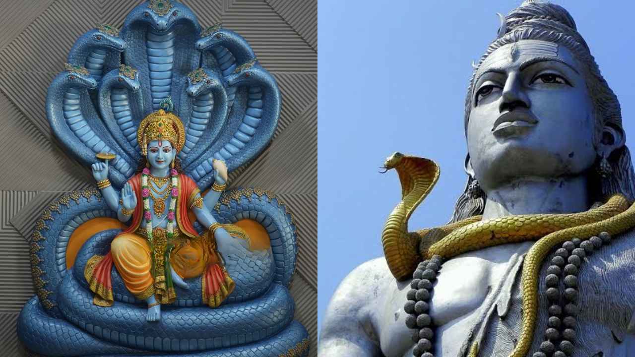 Vasuki and Sheshnag