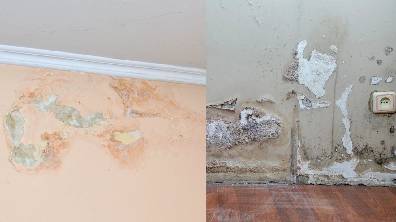 Wall Waterproofing