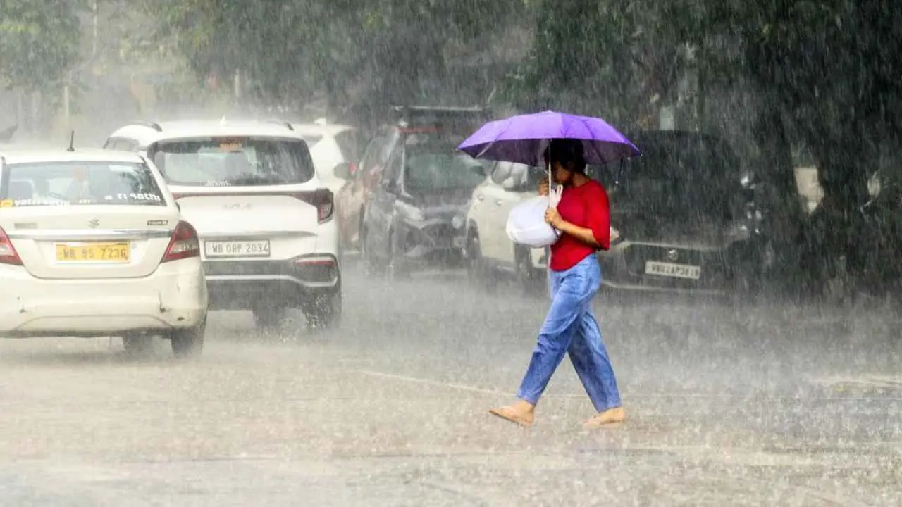 Weather Tomorrow