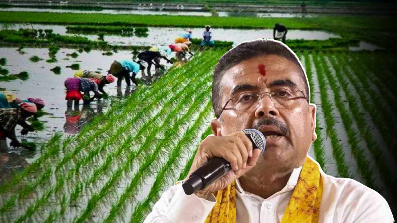 cm agriculturecm agriculture