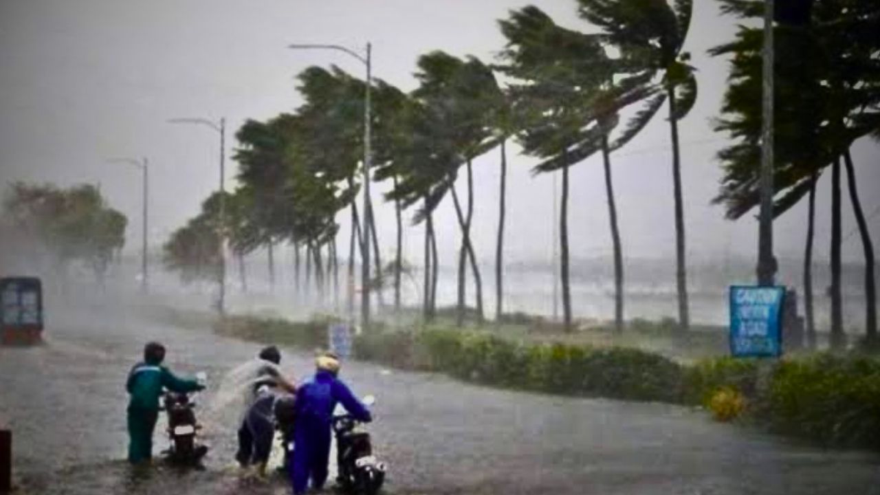 cyclone (1)
