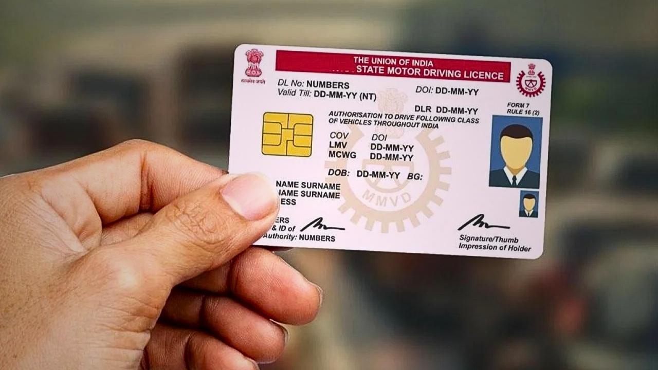 driving licence