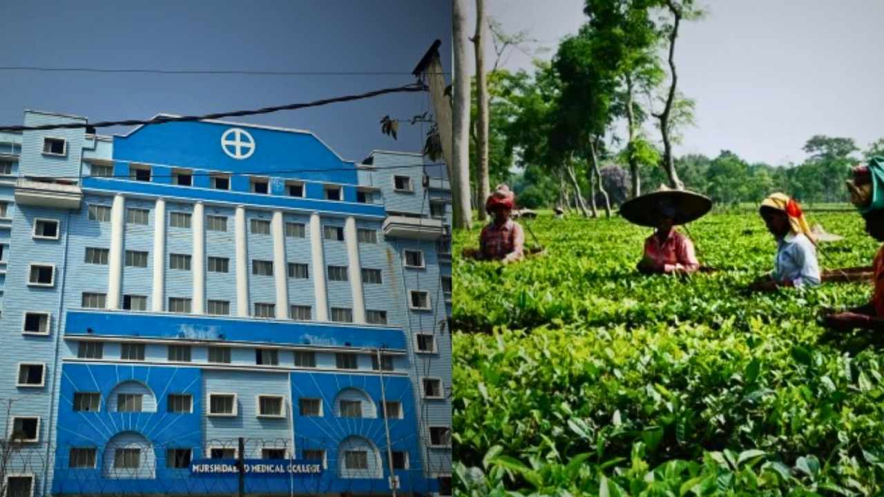 medical college (3)
