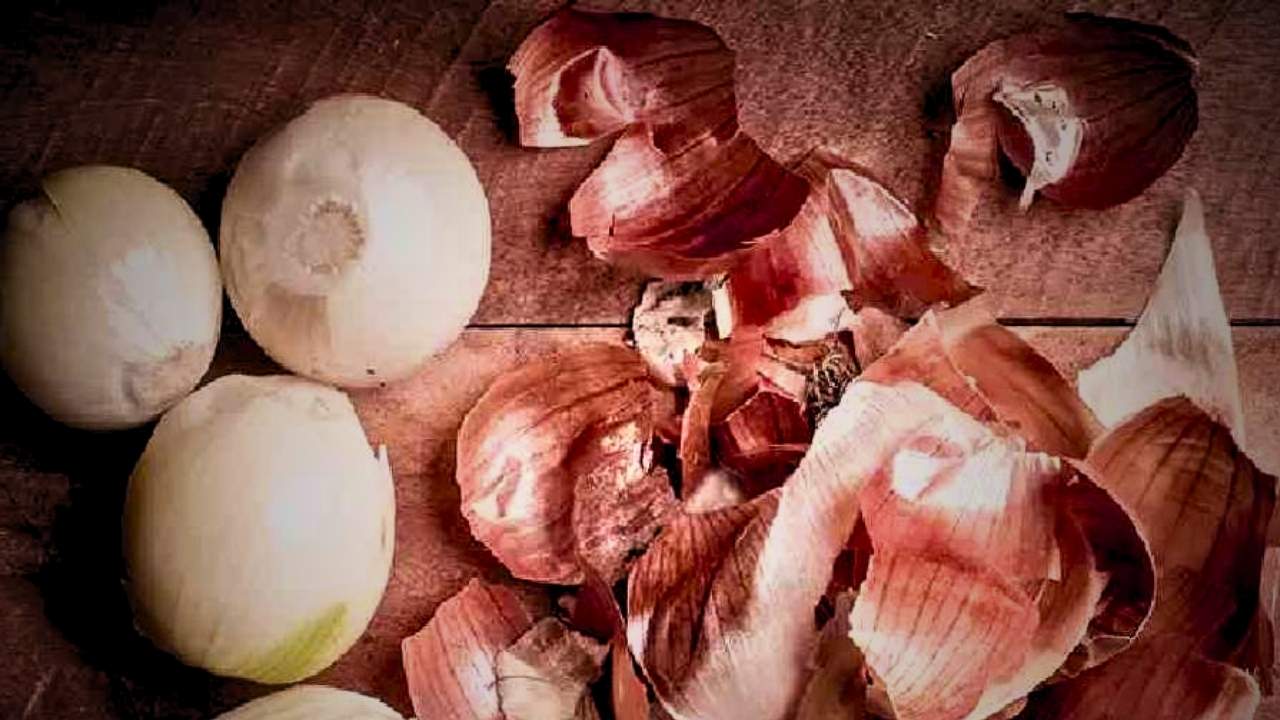onion
