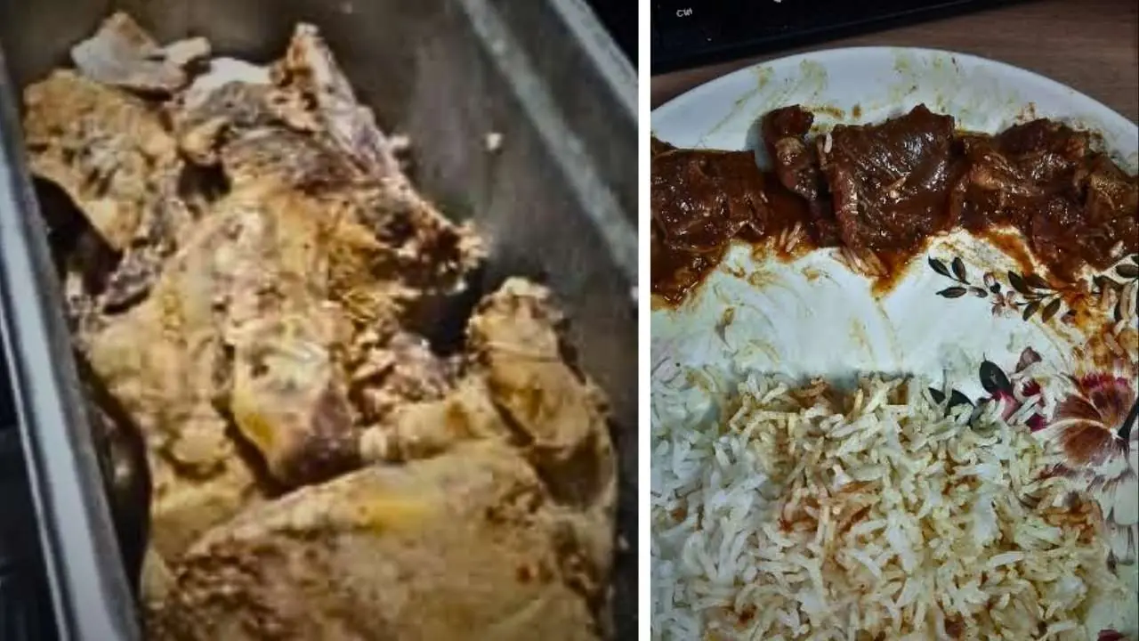 spoiled meat