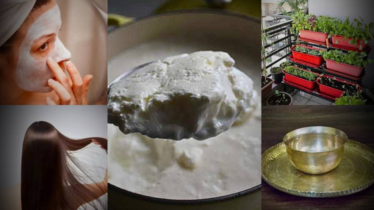 yogurt (1)