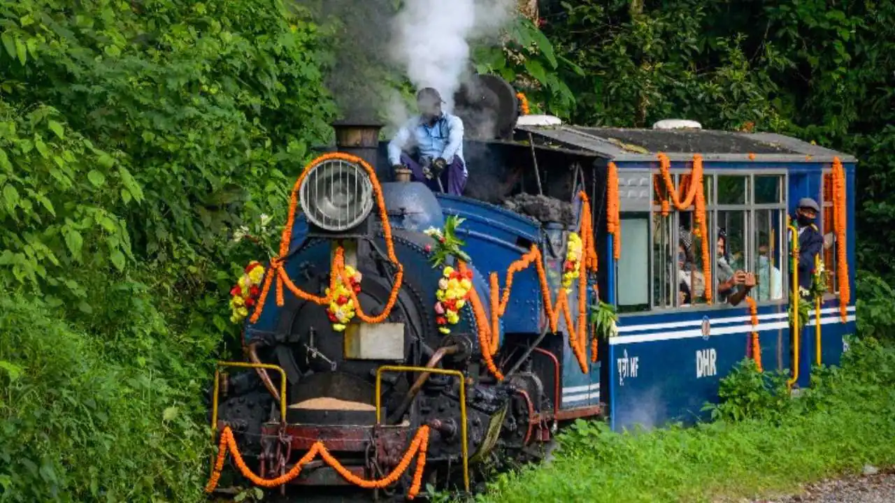 Toy Train Jungle Safari started again in North Bengal