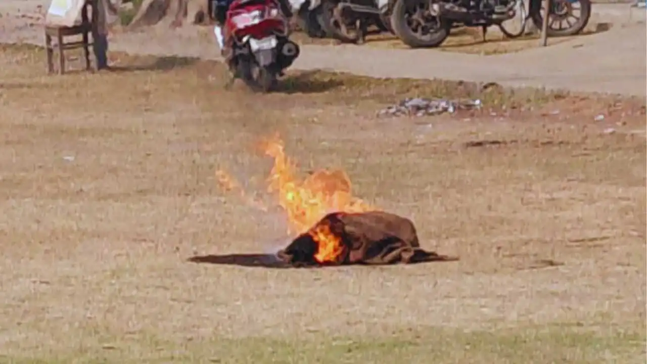 Gas Cylinder Explosion In School