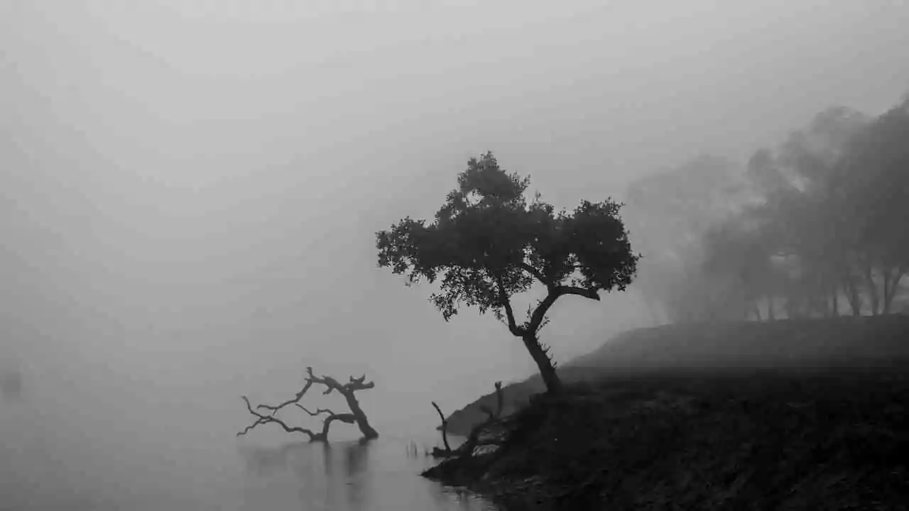 South Bengal Winter Weather