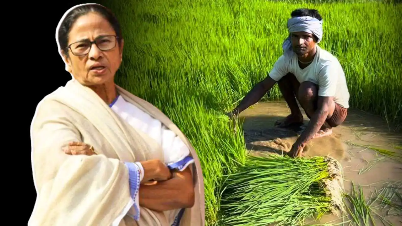 Bhumihin Khetmajur Scheme money distribution update