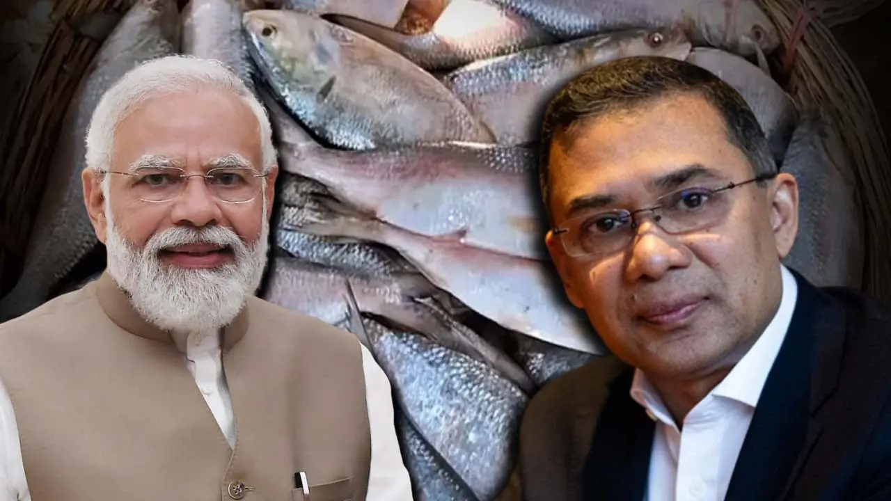 Bangladeshi Hilsa Fish