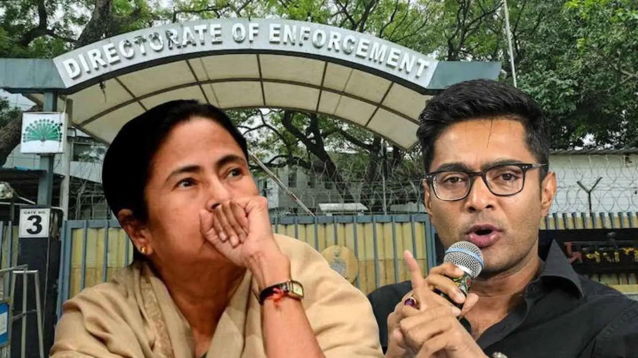 TMC Bank Account Investigation Case